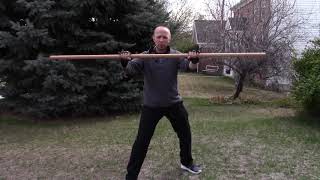 Quarterstaff Lesson 1  Introduction [upl. by Llednahs]