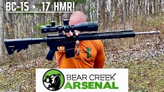 Bear Creek Arsenal BC15 17 HMR [upl. by Pollak]