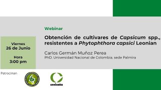 Webinar ASCOLFI  Obtención Cultivares de Capsicum spp Resistentes a Phytophthora capsici Leonian [upl. by Humphrey]