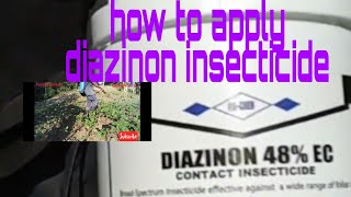 how to apply diazinon insecticides [upl. by Lutero834]