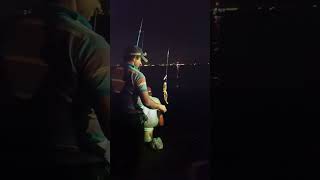 Double hook amazing catch big size doma fish in madh jetty fishing fishingvideo beach roadto5k [upl. by Asaert]