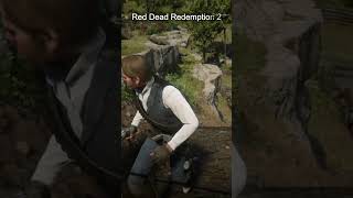 Red Dead Redemption 2 all weapons [upl. by Aihsik323]