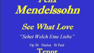 See What Love  Mendelssohn  Tenorwmv [upl. by Dre]