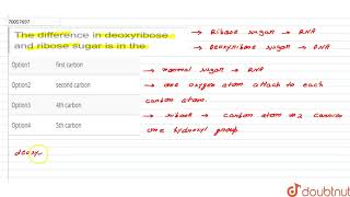 The difference in deoxyribose and ribose sugar is in the [upl. by Elleynad]