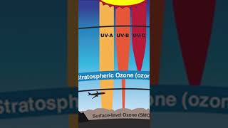 Stratospheric ozone amp Tropospheric ozone upsc faizulsir uppsc bpsc ozone rpsc news shorts [upl. by Frasch]