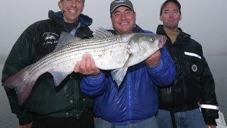 Striped Bass Fishing  Sandy Hook NJ Preview [upl. by Linea]