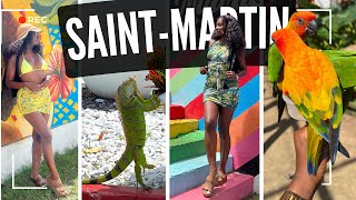 VLOG  VOYAGE À SAINT MARTIN  TRAVEL SXM [upl. by Douty516]