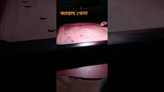 Carrum play howrah youtubeshorts shorts ayan [upl. by Isleana]