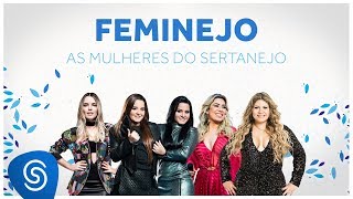 Feminejo As Mulheres do Sertanejo  Mix Sertanejo 2019 [upl. by Triley]