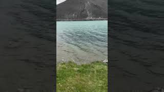 Central Otago Lake Newzealand Short Video [upl. by Penland]