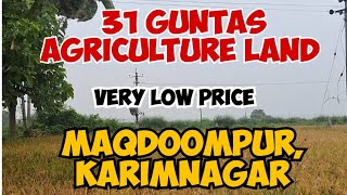 AGRICULTURE LAND at MAQDOOMPUR KARIMNAGAR  RAJIV RAHADARI  HYDERABAD HIGHWAY  REASONABLE PRICE [upl. by Elbert]