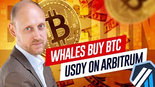 🚀 USDY on Arbitrum SEC vs OpenSea Whales Buy BTC  Crypto News 2908 [upl. by Sloane7]