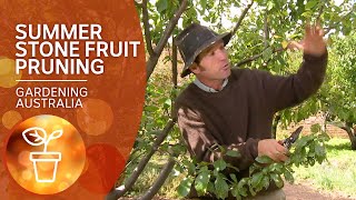 How to prune stone fruit trees in summer [upl. by Llertniuq584]