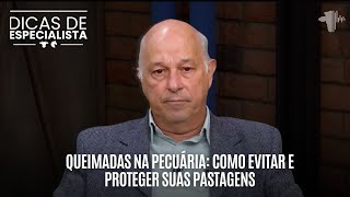 Queimadas na pecuária como evitar e proteger suas pastagens  DICAS DE ESPECIALISTA [upl. by Atiugram]