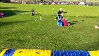 Hoopers  Nadac  HoopersAgility  Hundeschule gooddog Freudwil bei Uster [upl. by Nitsrik]