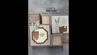 Earthen Elegance Fancy Fold Step Card using Stampin Up DSP [upl. by Secunda]