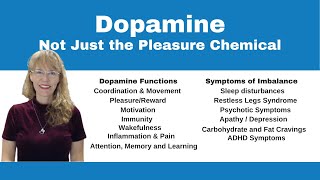 Demystifying Neurotransmitters Serotonin Dopamine and Beyond [upl. by Tallie]