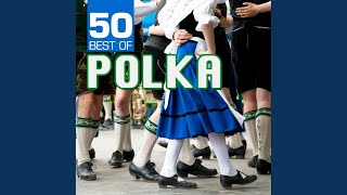 Rheinländer Polka [upl. by Madanhoj289]