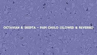 Octavian amp Skepta  Papi Chulo Slowed amp Reverbe [upl. by Diahann]