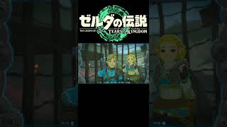 ゼルダの伝説 TotK【ゼルダ姫とウツシエ】short [upl. by Dihaz]