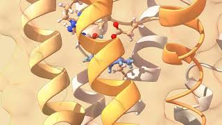 Inside the Odorant Binding Chamber Part II [upl. by Saiff]