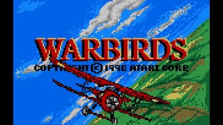 Warbirds Review Atari Lynx [upl. by Gerfen916]