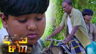 Adisi  අදිසි   Episode 177 25th November 2022 [upl. by Airamas]