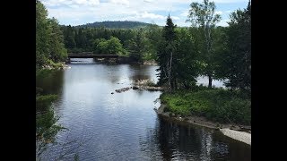 North Maine Woods 2018 [upl. by Madeleine734]