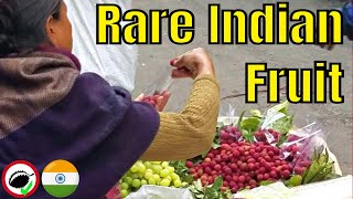 Kaphal Fruit Review Myrica esculenta  Weird Fruit Explorer in India  Ep 311 [upl. by Aihsakal]