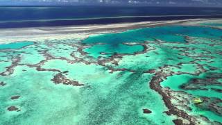 Whitsundays Reef amp Island scenic flight [upl. by Kcim413]