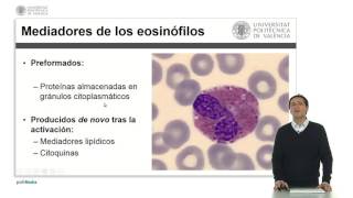 Eosinófilos   UPV [upl. by Ennair]