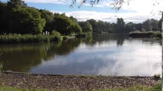 Dearne Valley Park [upl. by Dwyer]