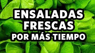 Como mantener las ensaladas frescas por más tiempo [upl. by Lindsy547]