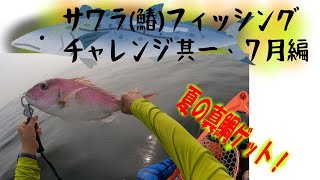 【サワラ回遊】東京湾カヤックフィッシング [upl. by England78]