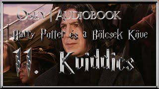 Harry Potter és a Bölcsek Köve hangoskönyv  11 fejezet [upl. by Abe]