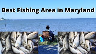 Thomas Point Park  Fishing In Maryland [upl. by Ronda467]