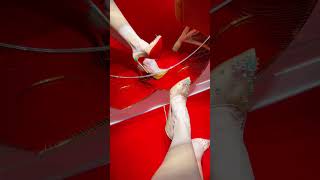 Which pair of Louboutin high heel shoes would you wear [upl. by Nylazor949]