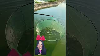 SEMANGKA UNTUK UMPANNYA IKAN ⁉️🍉🐠 shorts funny dubbing [upl. by Hpesoy401]