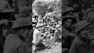 Australias WWII Campaign in Papua [upl. by Eletnahc979]