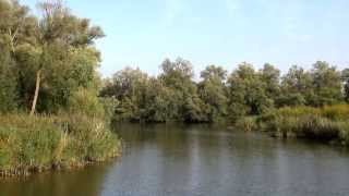 Biesbosch  Holland [upl. by Adeline]