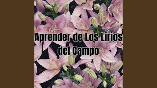 Aprender de los Lirios del Campo [upl. by Eseerehs676]