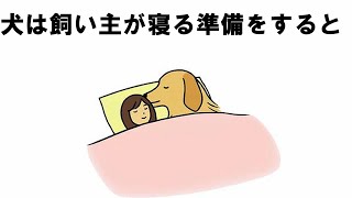 犬の飼い主に対する可愛い愛情の雑学 [upl. by Ambrosine867]