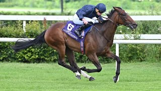 1000 Guineas favourite Ylang Ylang remains unbeaten at Leopardstown  Racing TV [upl. by Gorman836]