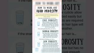 How To Find Hair Porosity Test  How to check hair type Day 11365 shorts hair haircare ytshorts [upl. by Eltsirhc196]