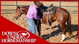 Clinton Anderson An Overview of Starting a Colt  Downunder Horsemanship [upl. by Horner]