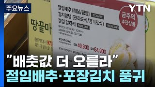 quot배춧값 더 오를라quot절임배추·포장김치는 완판 행렬  YTN [upl. by Lyndy]