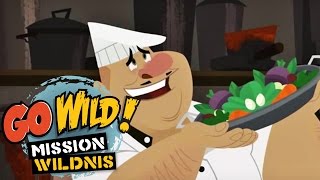 Go Wild Mission Wildnis  Das SchnabeltierOmelett Trailer  Folge 2 [upl. by Abbey]