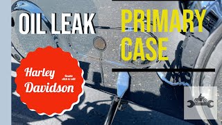 Primary Oil Leak Harley Davidson  Dyna Superglide [upl. by Michale]