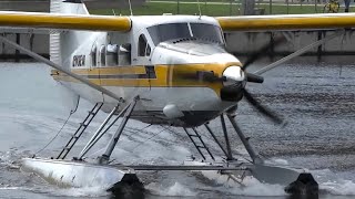 HD Kenmore Air Seattle Scenic Floatplane Tour and Plane Spotting Watching Seaplanes [upl. by Worsham179]