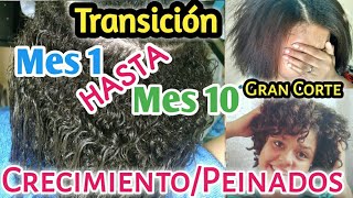 MI TRANSICIÓN CAPILAR  Mes X Mes  GRAN CORTE [upl. by Vahe149]